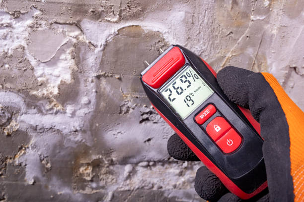 Best Crawl Space Mold Removal  in Inwood, NY