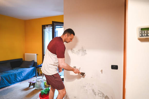 Best Black Mold Removal  in Inwood, NY